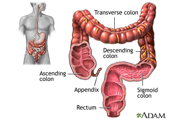 Col6